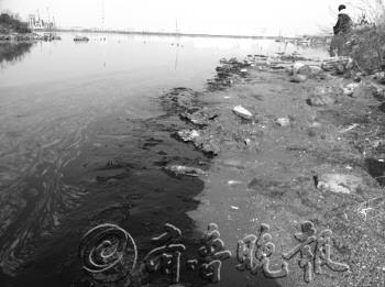 ����������������֮��11ֻ����Ⱦ�����3ֻ���