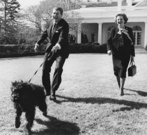 点图查看下一页